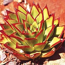 Small manufacture image 7