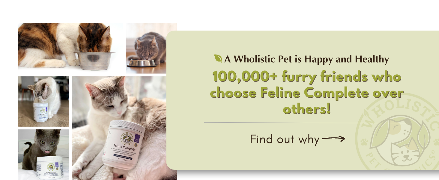 cat vitamins probiotics for cats cat supplements & vitamins cat multivitamin multivitamin for cats