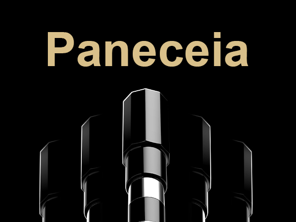 wireless meat thermometer digital