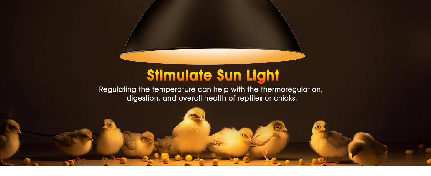 uva heat lamp  for reptile