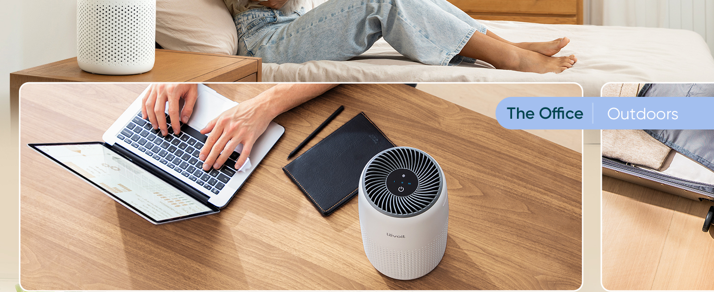 LEVOIT Core Mini-P air intake and filter