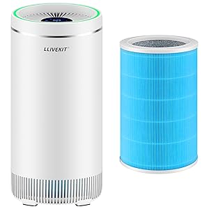 Air Purifier