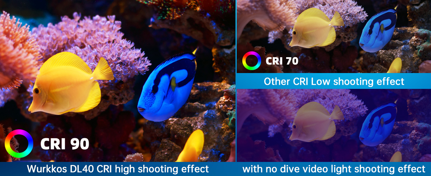 scuba diving accessories