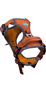 Dog Harness 4