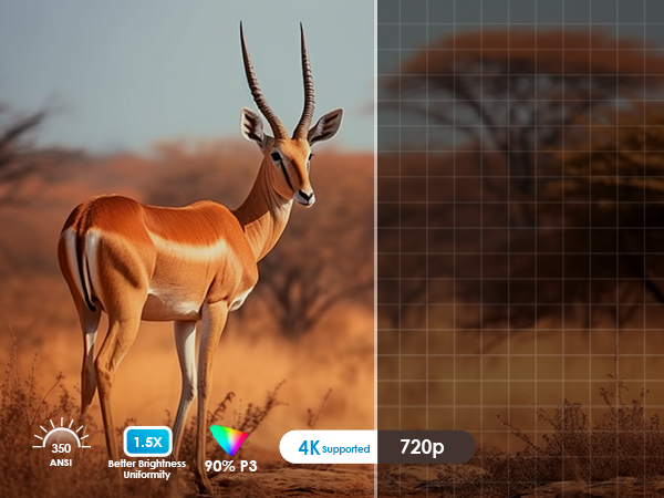 Antelope with long, spiral horns standing in arid landscape. Image quality icons show 360 ANR, 1.5x super brightness uniformity, 90% P3, 4K supported, and 720p resolution.