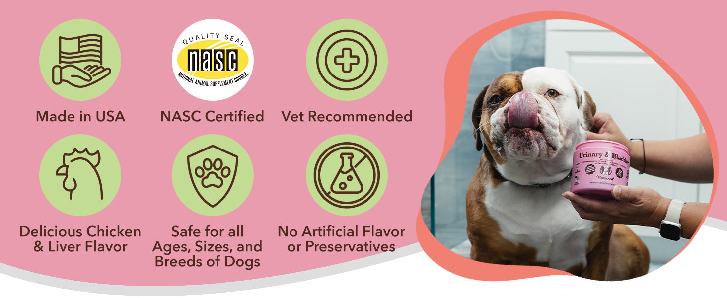 apple cider vinegar for dogs urinary tract dog incontinence supplement cephalexin for dogs