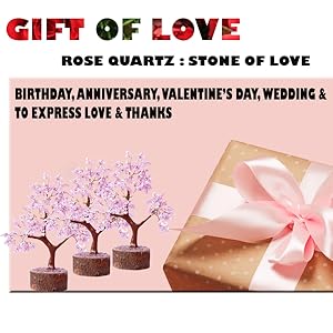 Rose 6