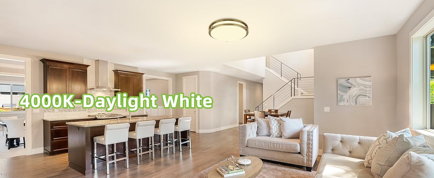 Flush Mount LED Ceiling Light Fixture
