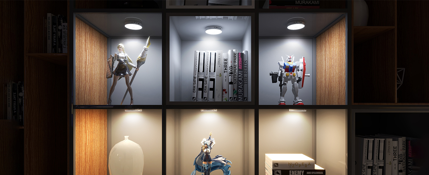 SHOWCASE