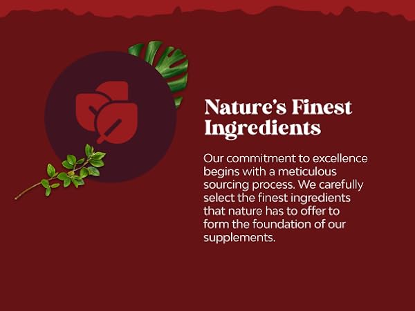 Nature's Finest Ingredients
