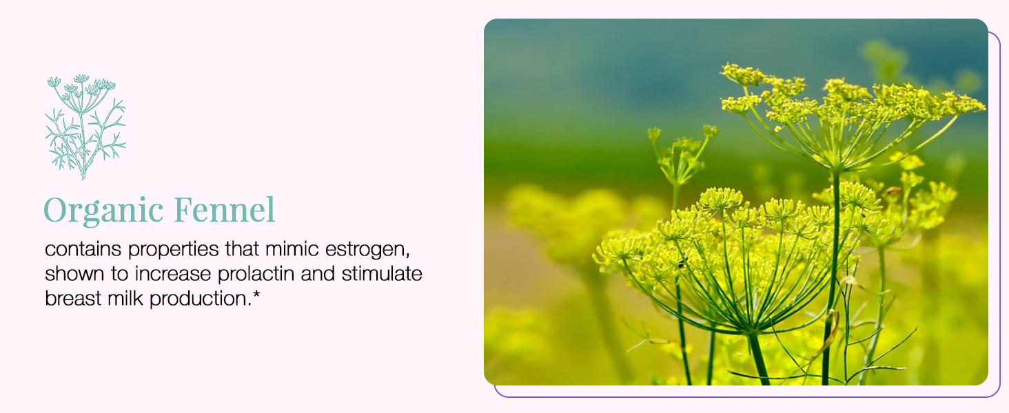 SAGA Lactation Support Shots to Increase Breast Milk Supply