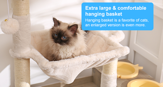 cat basket