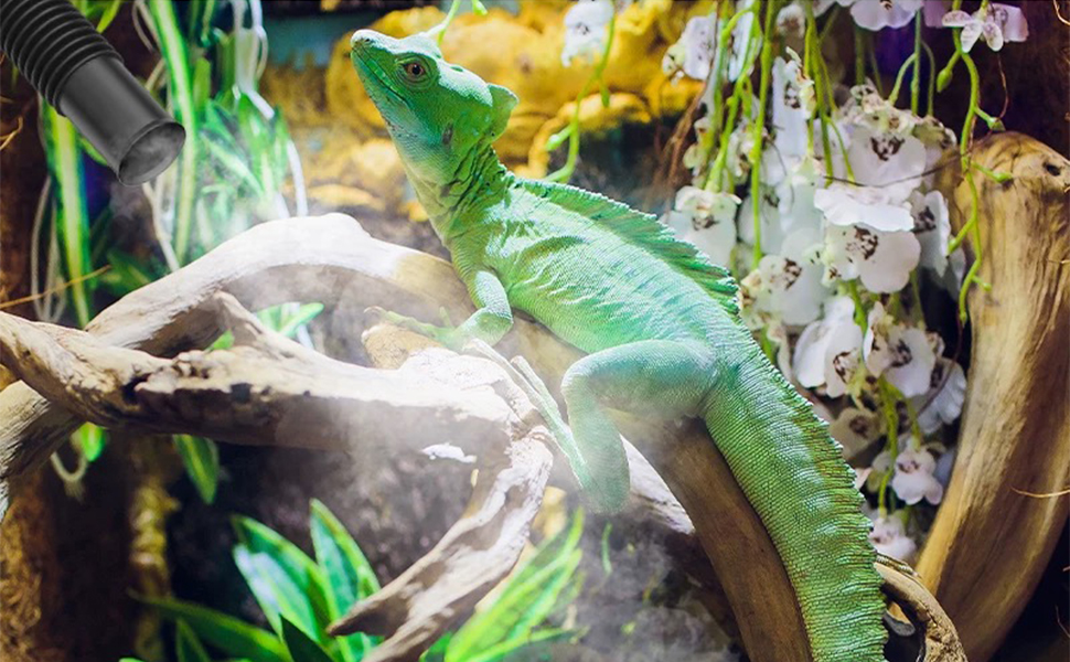 humidifier for plants