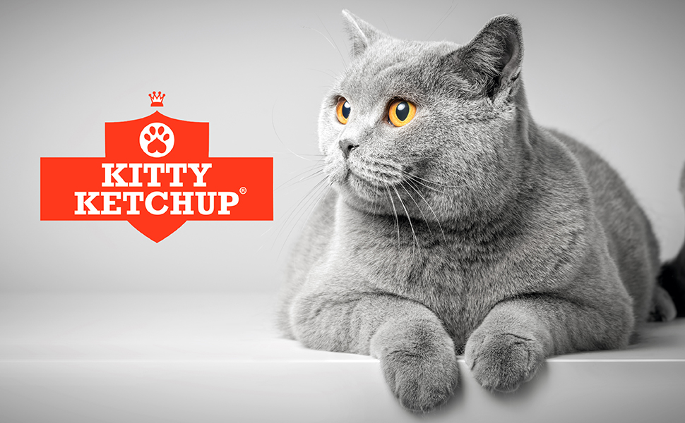 Pure Scottish Salmon Oil for Cats 500ml 100 Pure Natural Omega 3