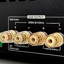 PSB-1000DSP Sub Out