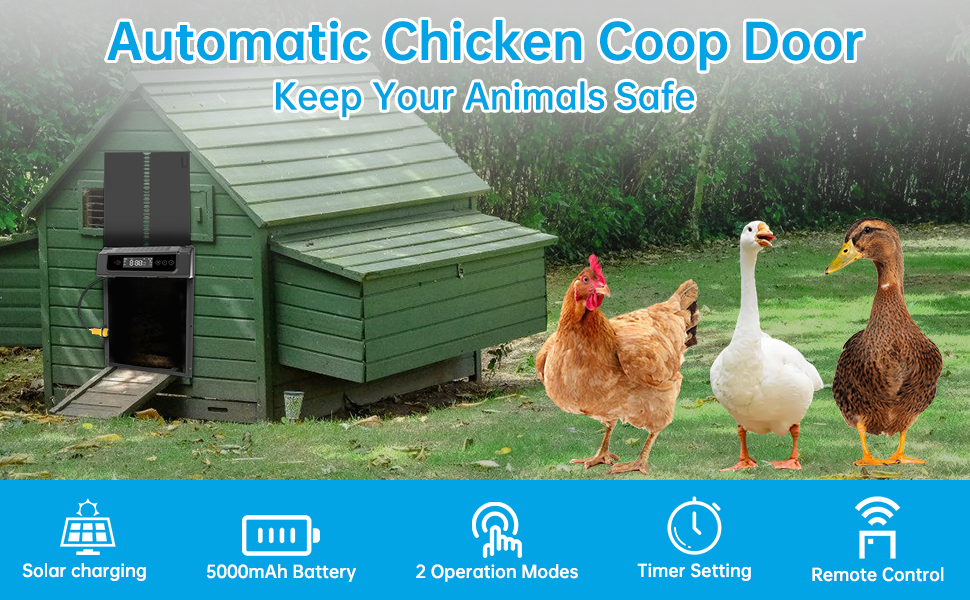 automatic chicken coop