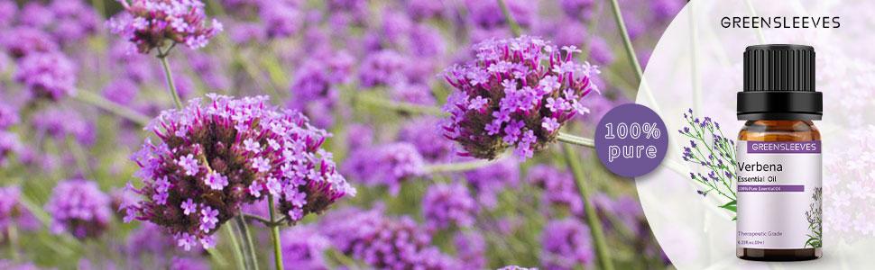 Verbena Essential Oil