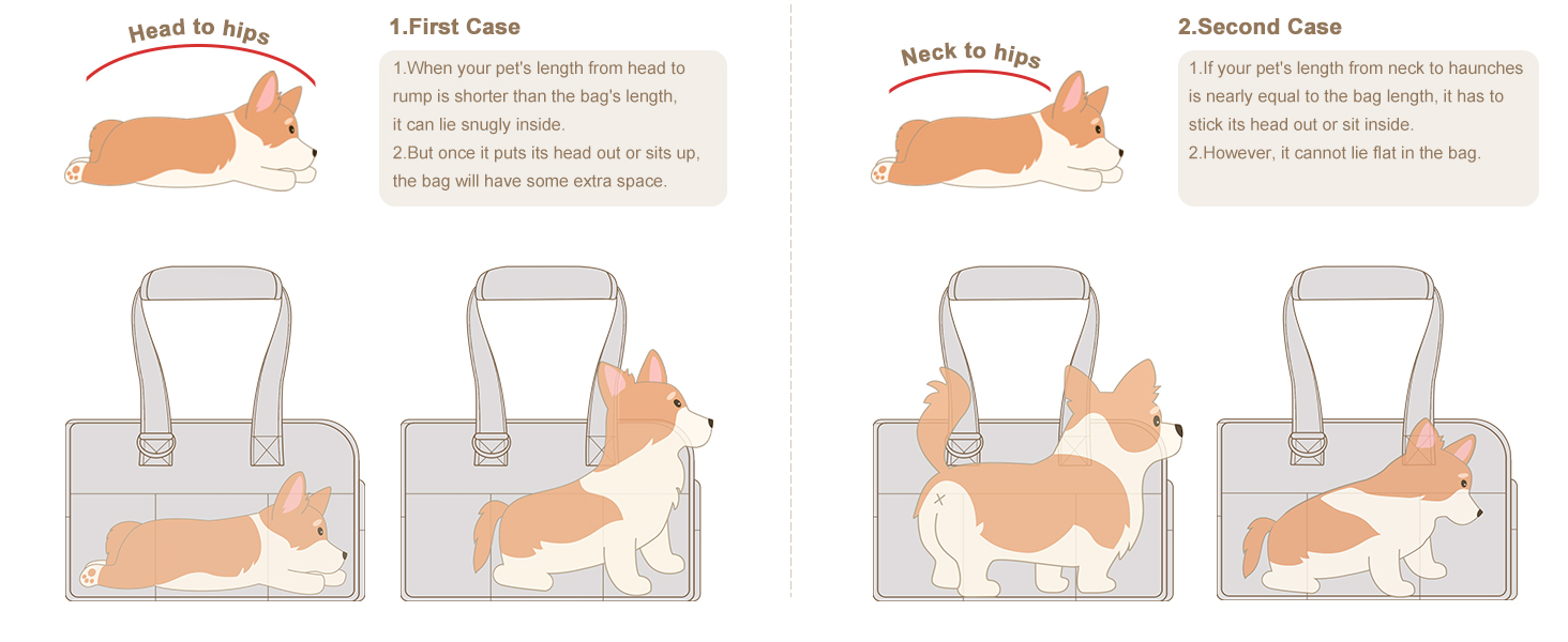 pet airline carrier airline approved