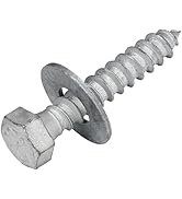 3/8 x 2 (50 Pack) Lag Screw Kit, 50 Screws and 50 washers, Hot Dip Galvanized, Meets ASME B18.2.1...