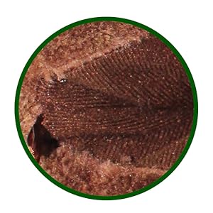 Close-up circular image of a textured brown surface, possibly a food item or ingredient.