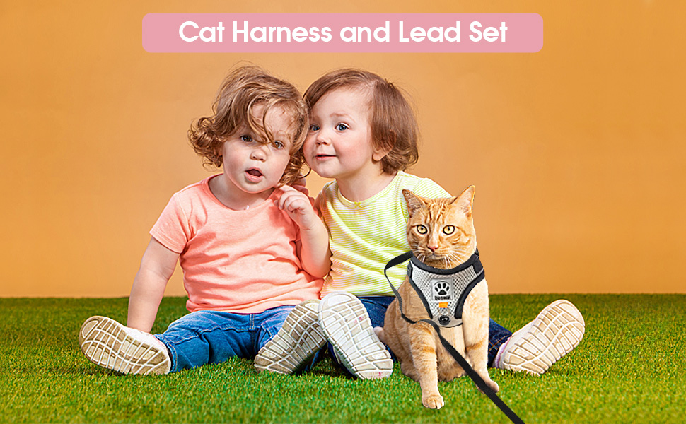 Cat Harness and Lead Set