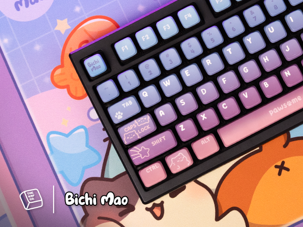 Amazon.com: Thekapco Bichi Mao Gradient Color Custom Keycaps,120