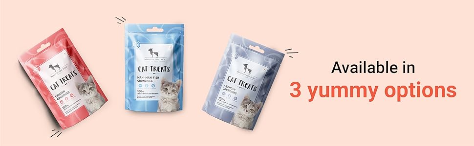 kitten food 2-12 months,wet cat food,cat food,wet food for cats,persian cat food,cat dry food