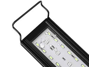 Aquarium Light