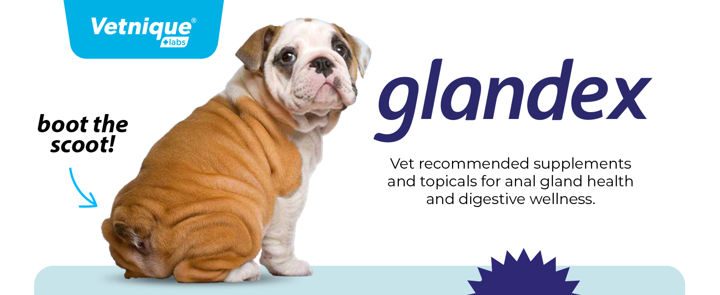 Glandex Vet Recommended Supplements