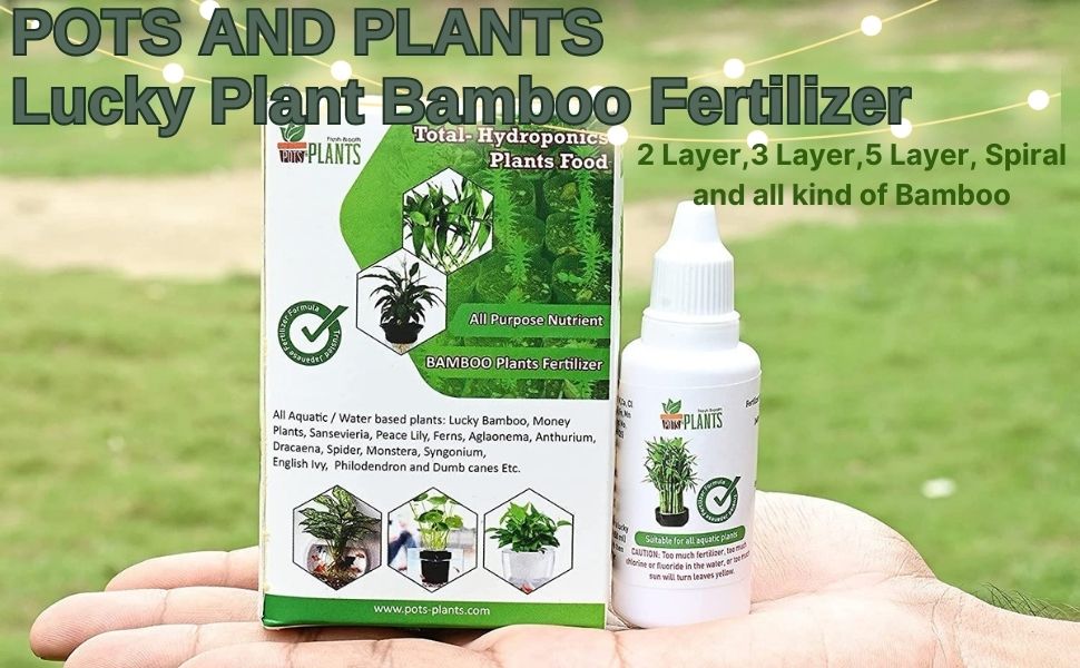 POTS AND PLANTS Lucky Plant Bamboo Fertilizer (2 Layer,3 Layer,5 Layer