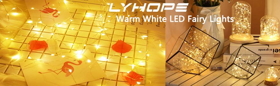 warm white fairy lights
