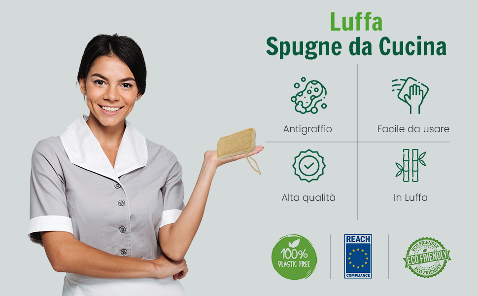 Schwamm Küche Schwämme Teller Küchengeräte Profi