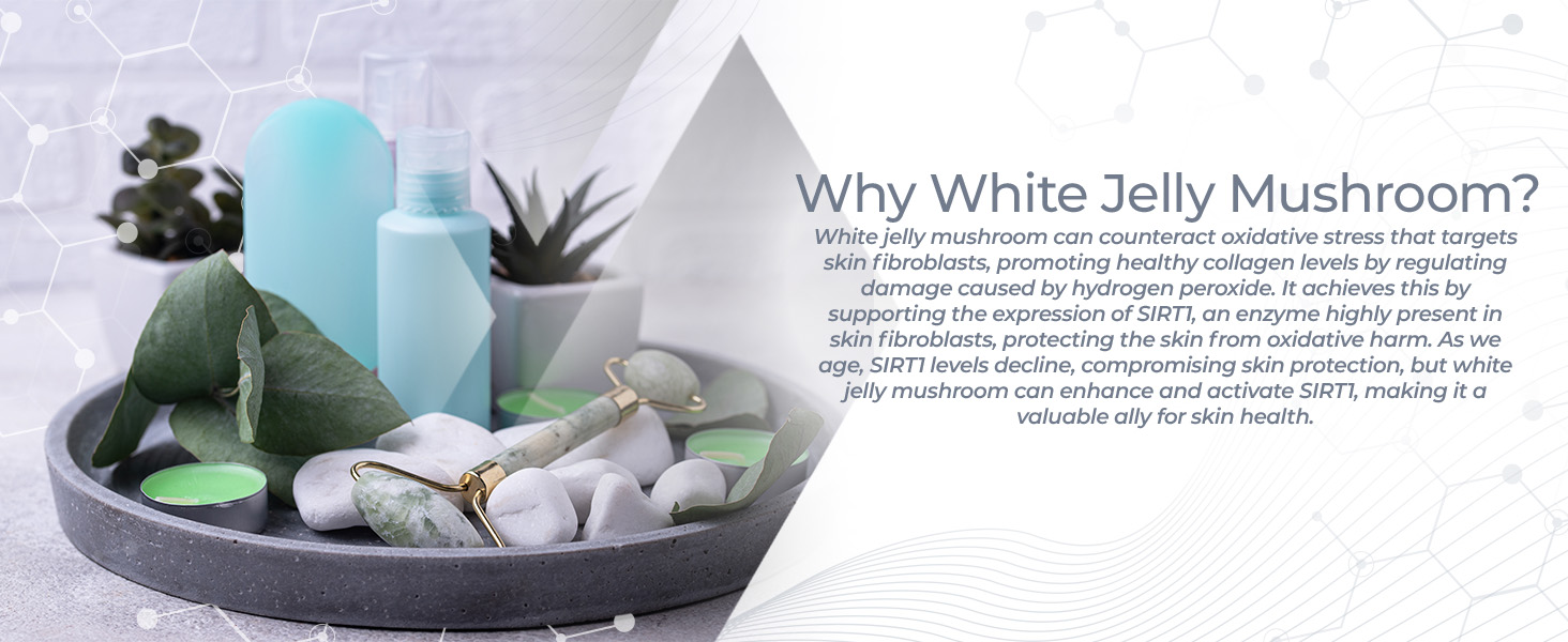 White Jelly Mushroom
