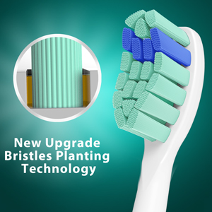  replacement toothbrush heads