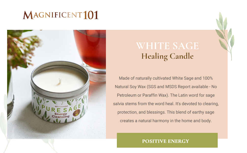 Magnificent 101 Long Lasting Pure White Sage Candle 6 Oz 35 Hour