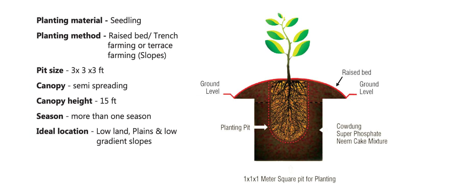 Large manufacture image 1