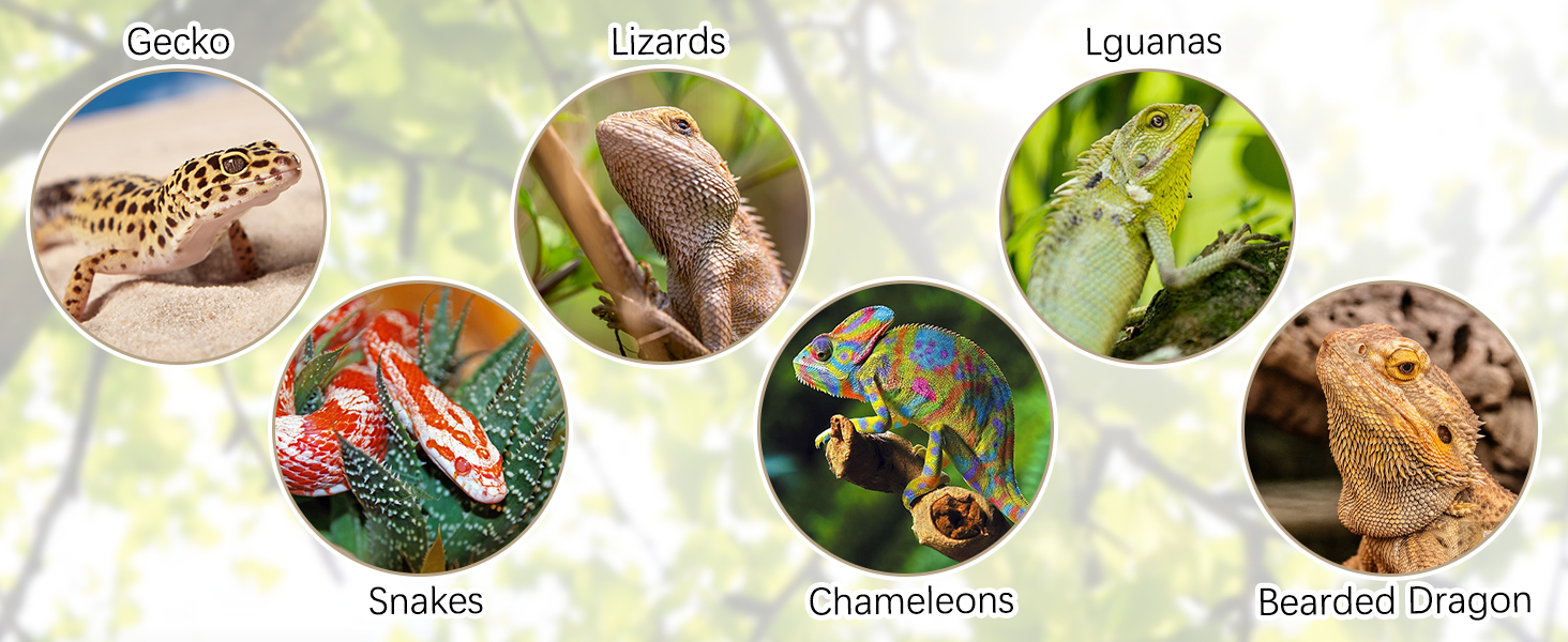 reptile vines and branches reptile climbing vines