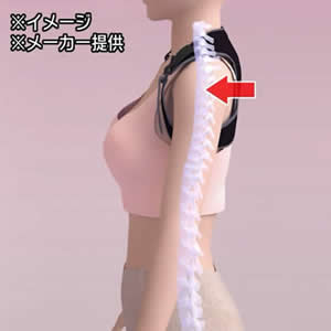 ぐいぐい姿勢キーパー　もどルーティン ぐいぐい姿勢キーパー もどルーティン | 日テレポシュレ本店