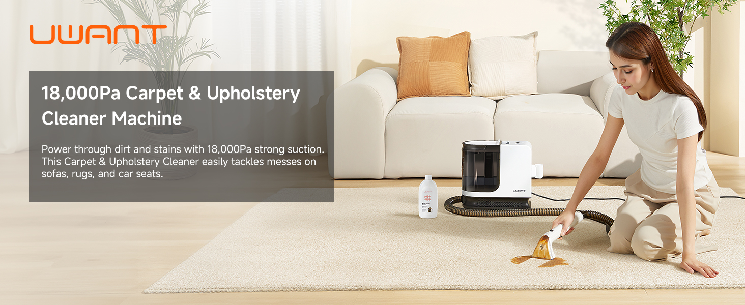 Portable Carpet Cleaner