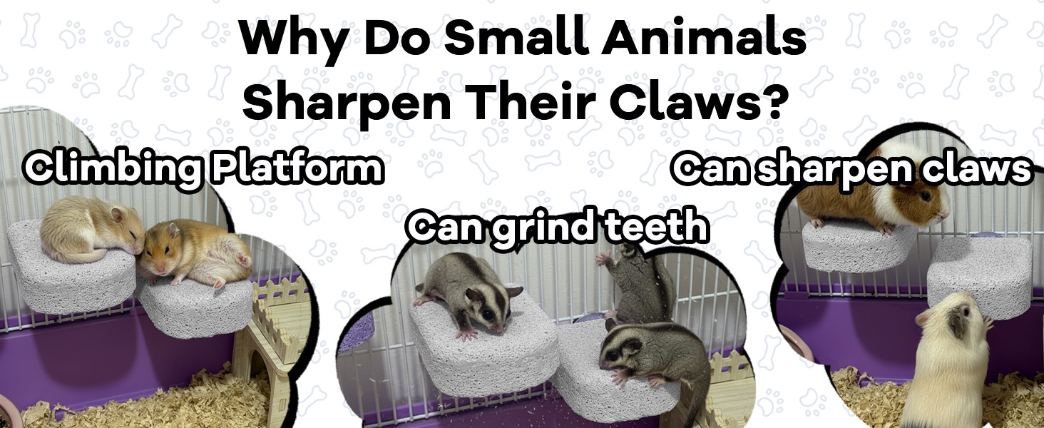 chinchilla cage accessories