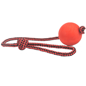 Ball on a rope dog training Clearance