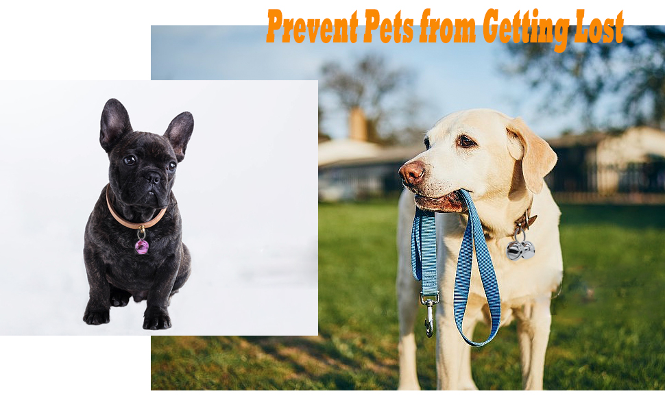 Large Dog Bells, Collar Loud Bells, Pet Tracker & Training, Handmade Metal(Silver) 10 cat bells