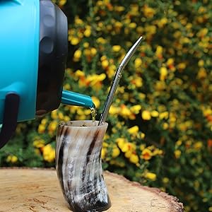 terere, paraguayan flask, guampa, yerba mate, yerba, mate