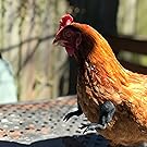 Small manufacture image 8