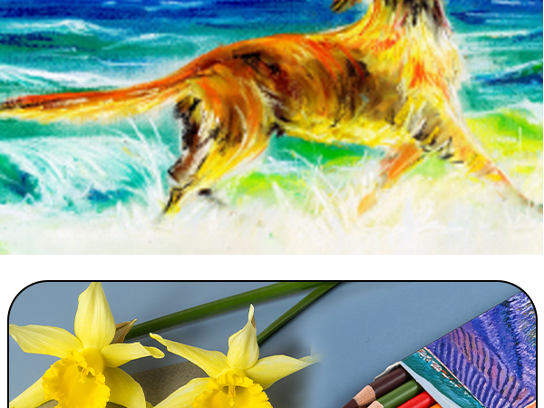 Pastel Chalk Colored Pencils