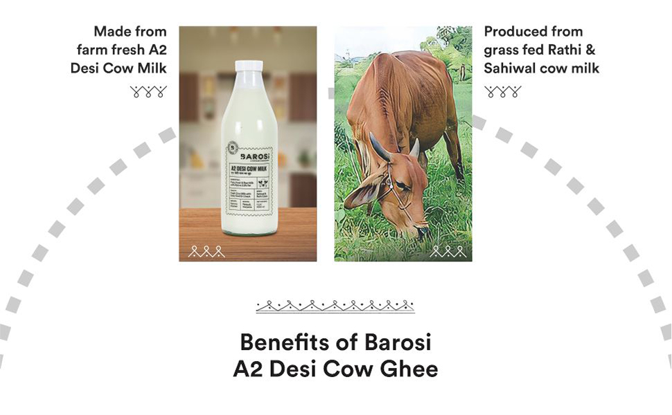A2 ghee desi cow buffalo gir bilona ayurvedic ghee