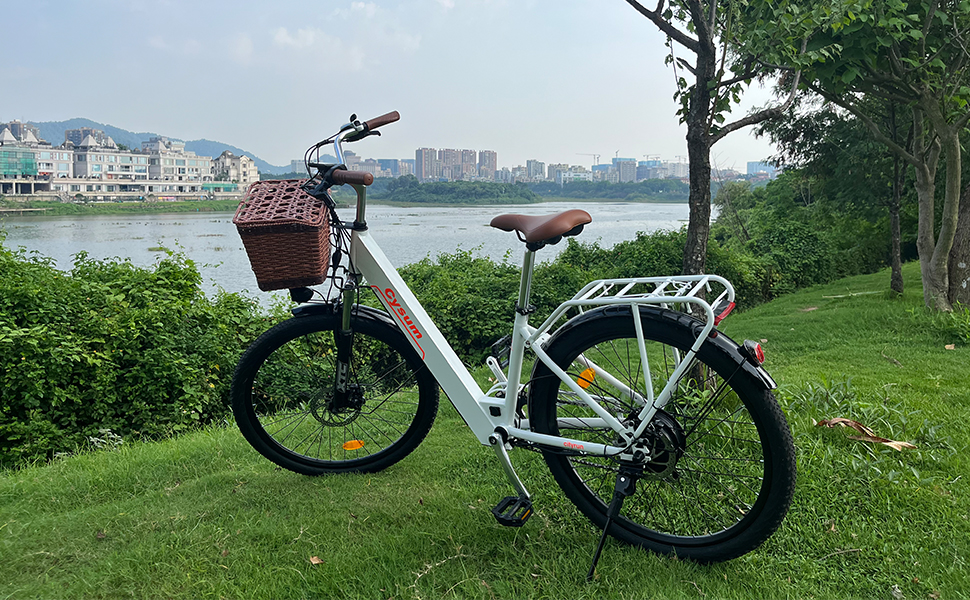 ebike