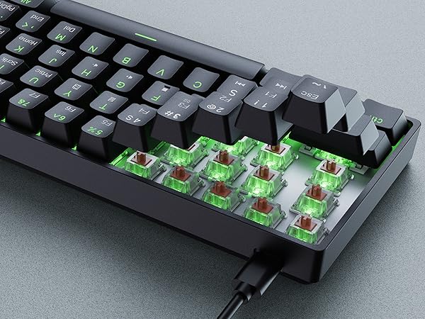 brown switch