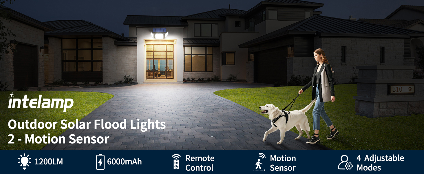 solar motion lights