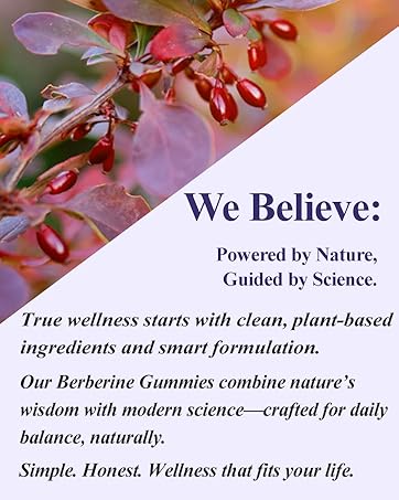 berberine with ceylon cinnamon gummies cinnamon supplements gummies organic berberine gummies